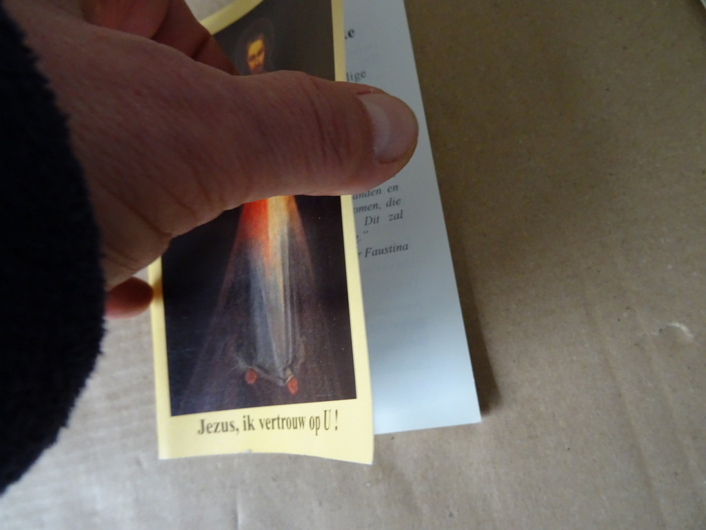Zuster Faustina Jezus ik vertrouw op u! - Afbeelding 3