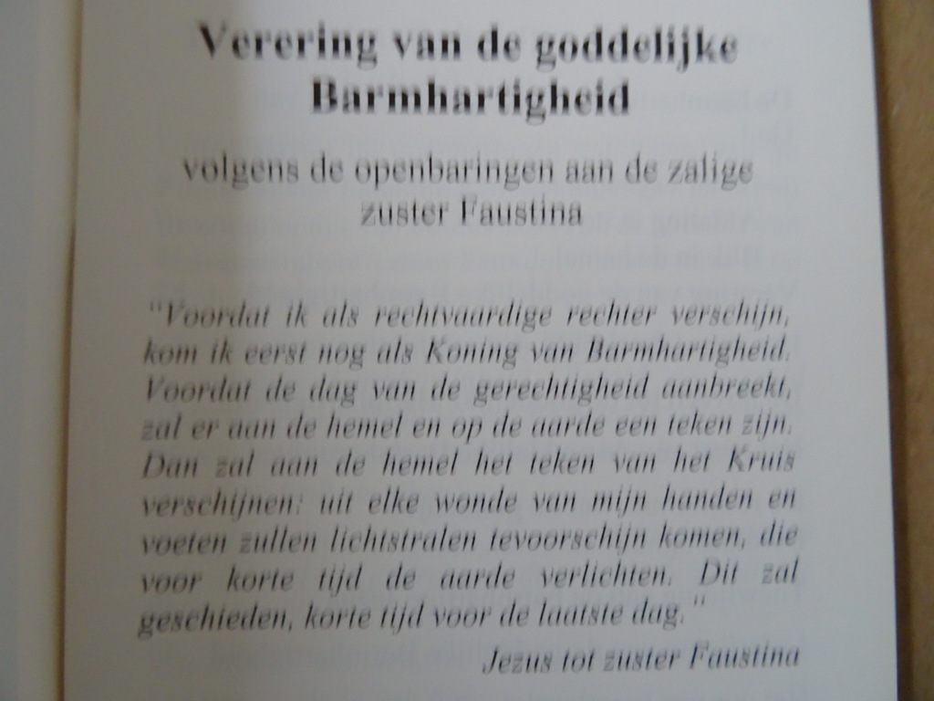 Zuster Faustina Jezus ik vertrouw op u! - Afbeelding 4