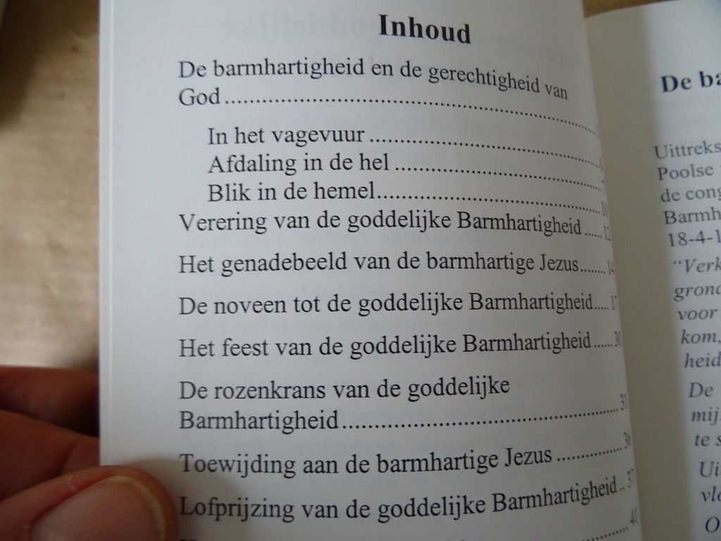 Zuster Faustina Jezus ik vertrouw op u! - Afbeelding 5
