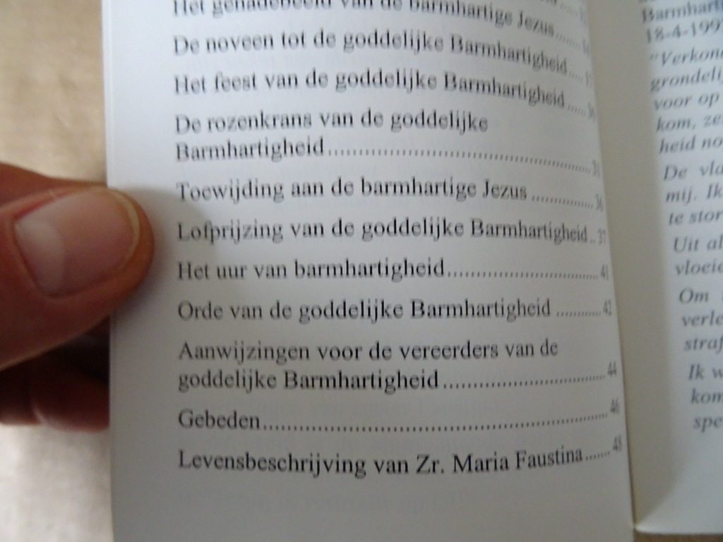 Zuster Faustina Jezus ik vertrouw op u! - Afbeelding 6