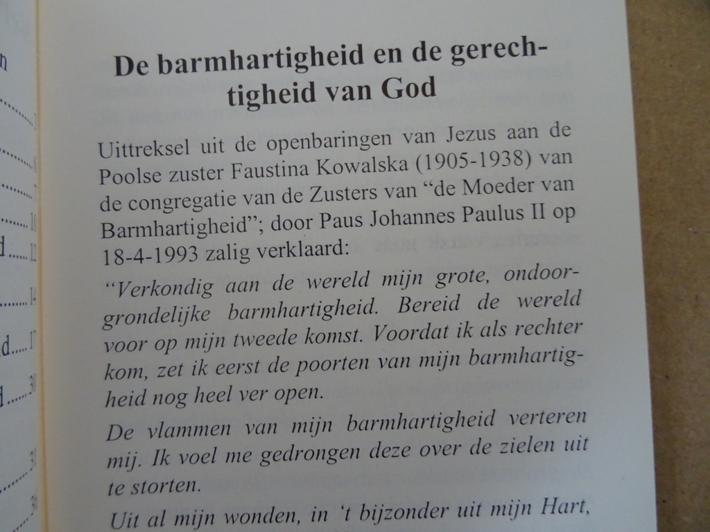 Zuster Faustina Jezus ik vertrouw op u! - Afbeelding 7