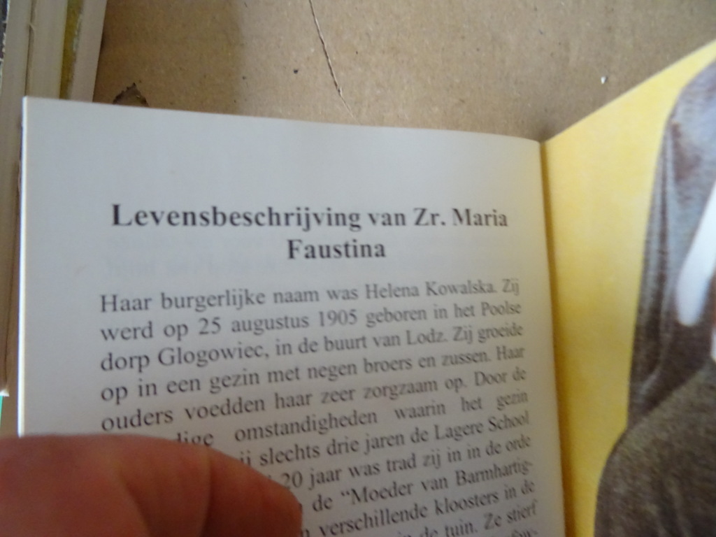 Zuster Faustina Jezus ik vertrouw op u! - Afbeelding 9