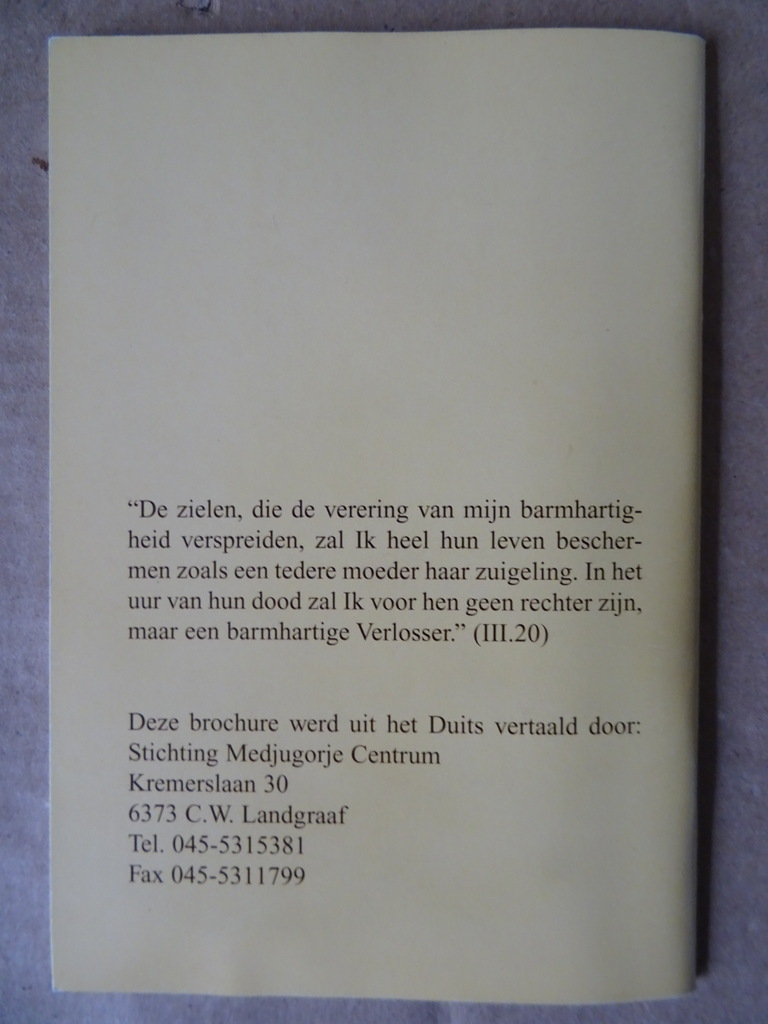 Zuster Faustina Jezus ik vertrouw op u! - Afbeelding 13