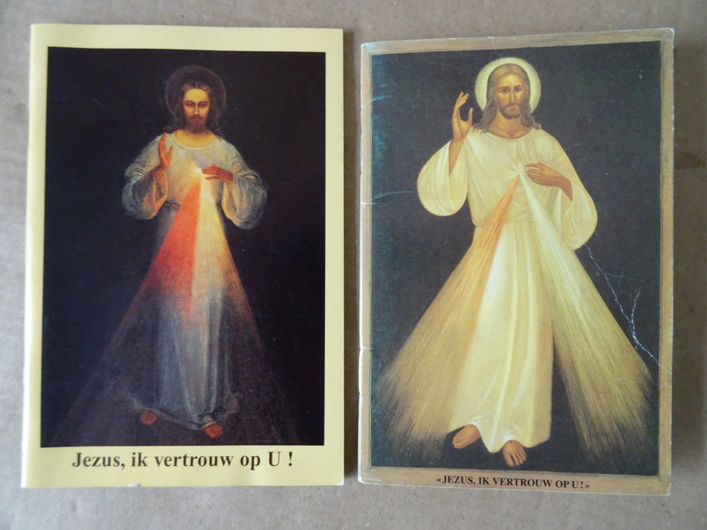 Zuster Faustina Jezus ik vertrouw op u! - Afbeelding 16