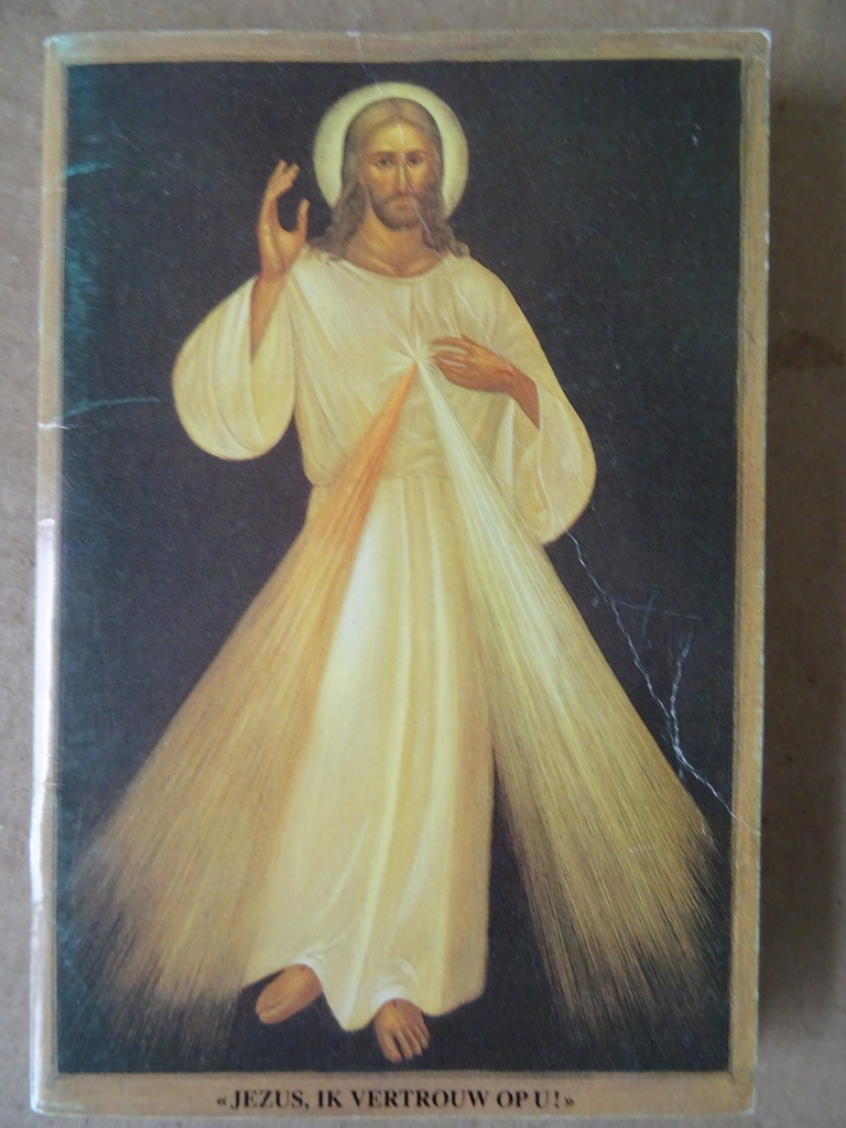 Zuster Faustina Jezus ik vertrouw op u! - Afbeelding 17