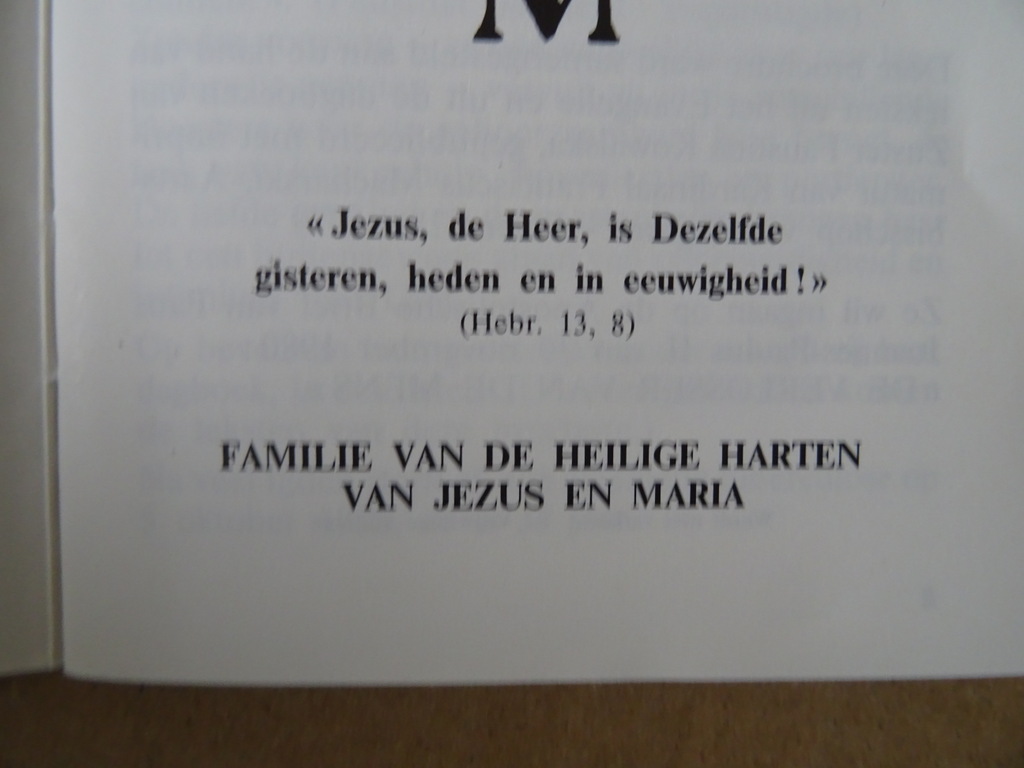 Zuster Faustina Jezus ik vertrouw op u! - Afbeelding 21
