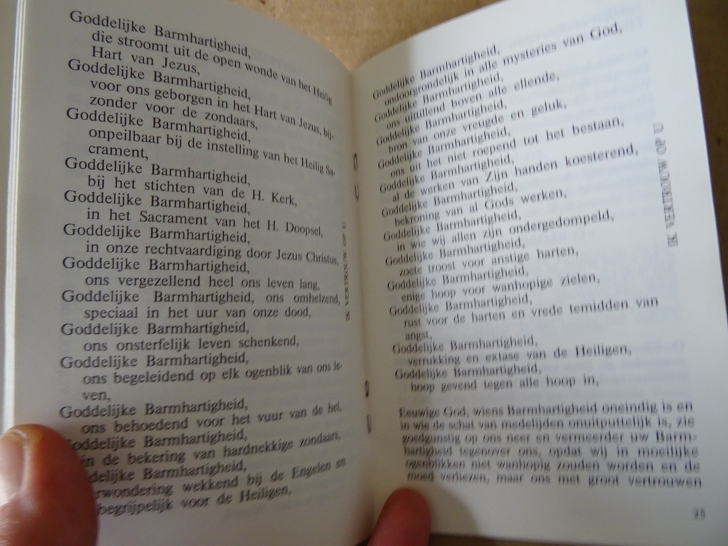 Zuster Faustina Jezus ik vertrouw op u! - Afbeelding 25