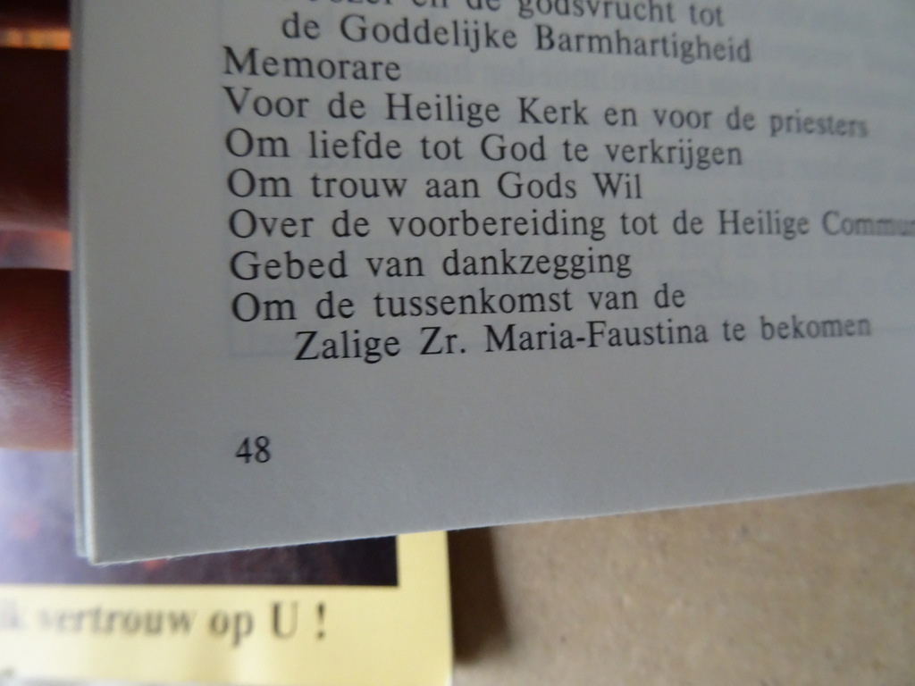 Zuster Faustina Jezus ik vertrouw op u! - Afbeelding 26