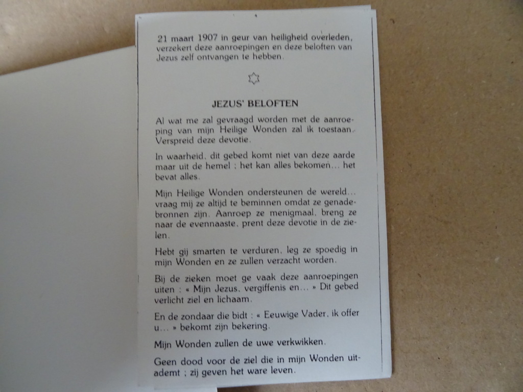 Zuster Faustina Jezus ik vertrouw op u! - Afbeelding 27