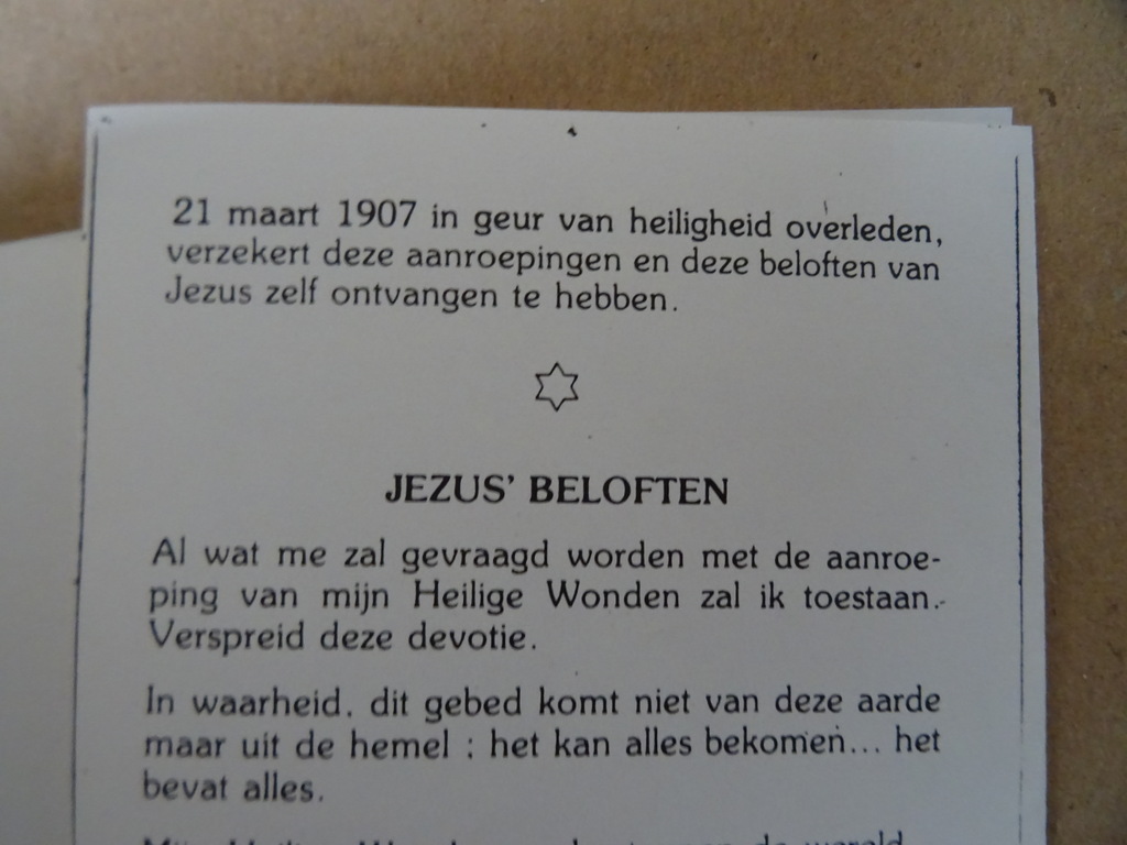 Zuster Faustina Jezus ik vertrouw op u! - Afbeelding 28