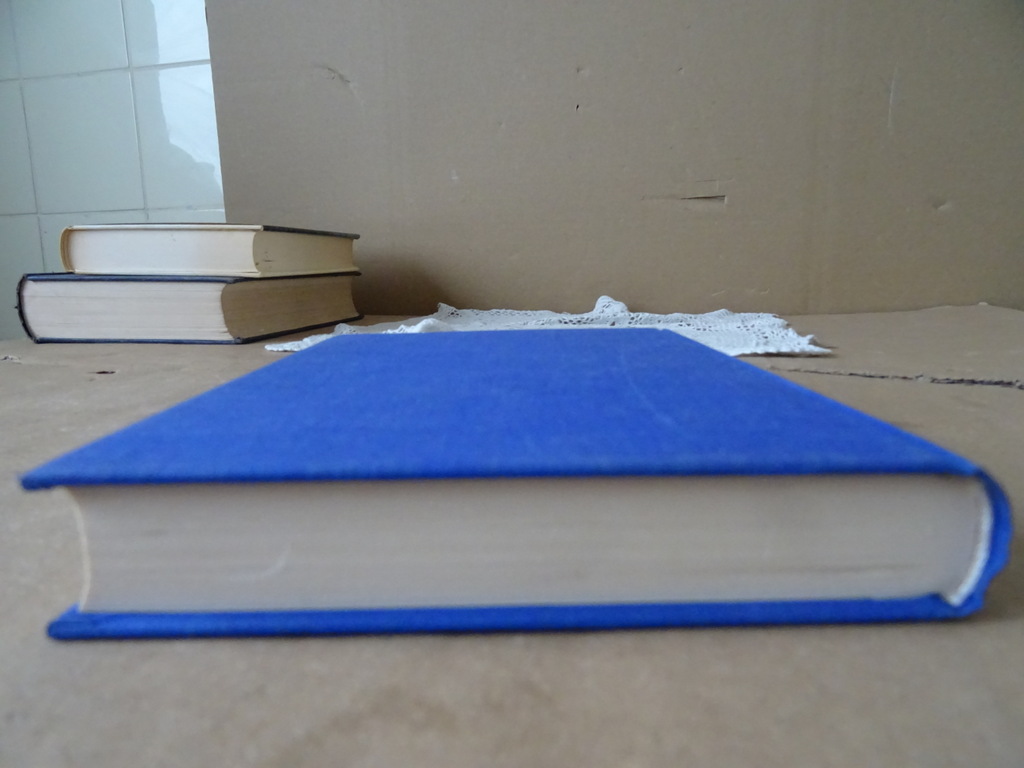 Jules Verne De reis om de wereld in 80 dagen - Afbeelding 9