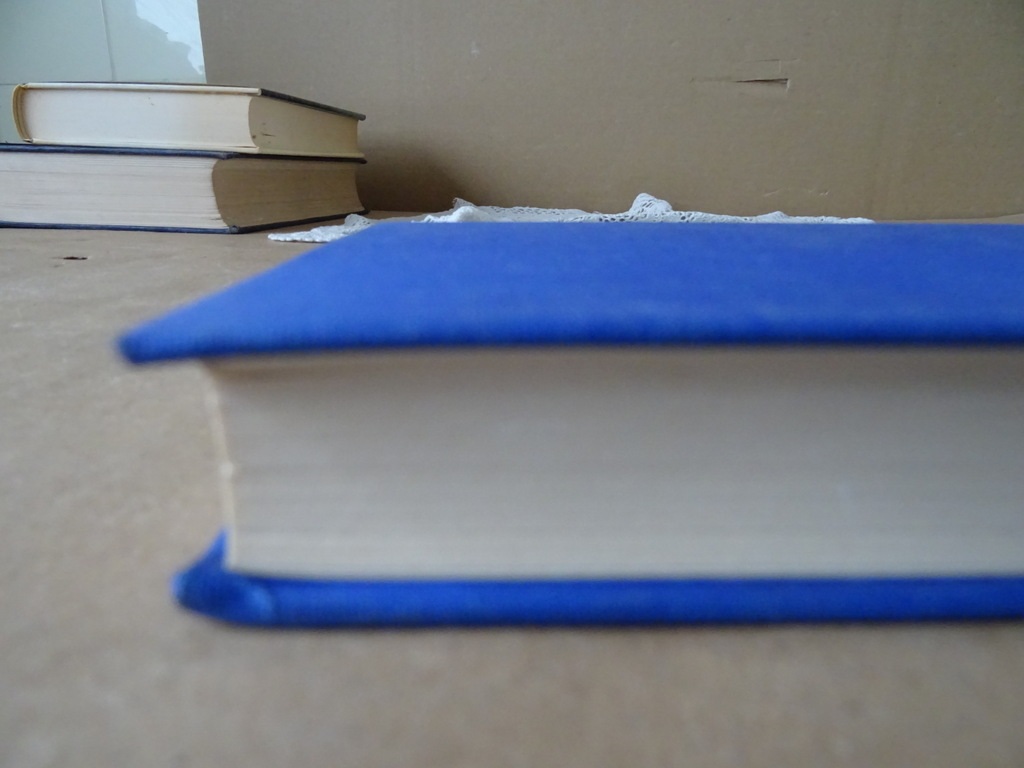 Jules Verne De reis om de wereld in 80 dagen - Afbeelding 11