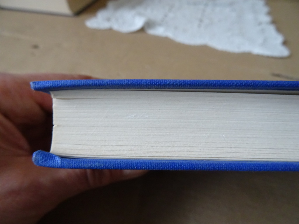 Jules Verne De reis om de wereld in 80 dagen - Afbeelding 12