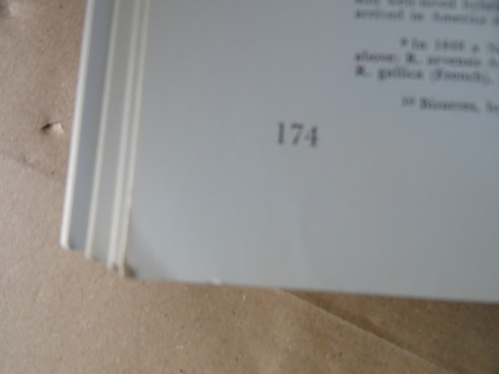 Julia S. Berral A history of flower arrangement - Afbeelding 15