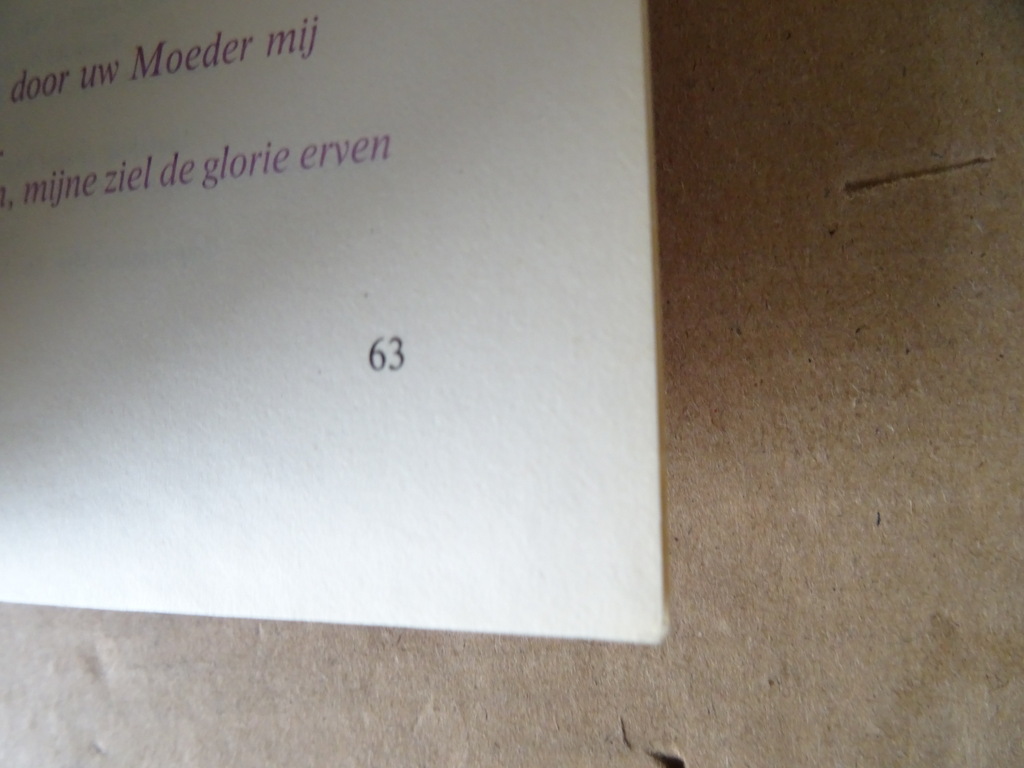 J. Hermans De Kruisweg van onze Heer Jezus Christus - Afbeelding 10