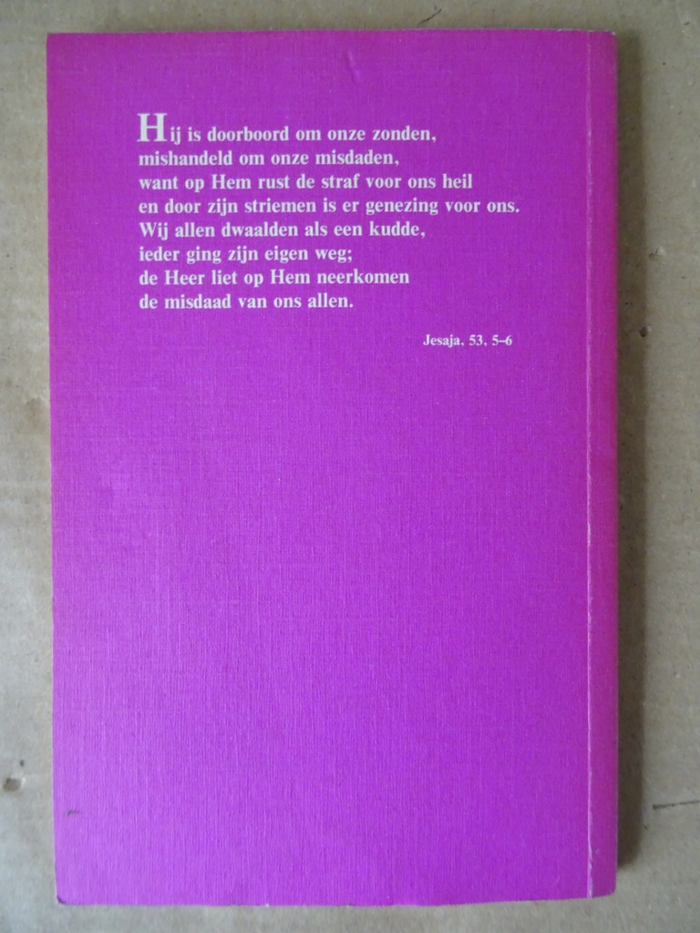 J. Hermans De Kruisweg van onze Heer Jezus Christus - Afbeelding 12
