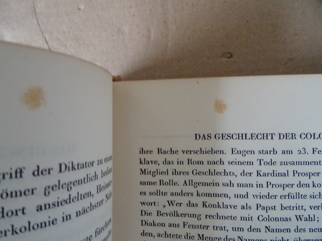 Casimir von Chledowski Rom die menschen der renaissance - Afbeelding 12