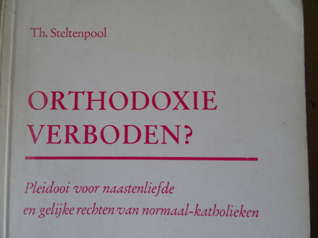 Th. Steltenpool Orthodoxie verboden? - Afbeelding 3