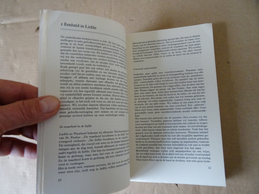 Th. Steltenpool Orthodoxie verboden? - Afbeelding 5