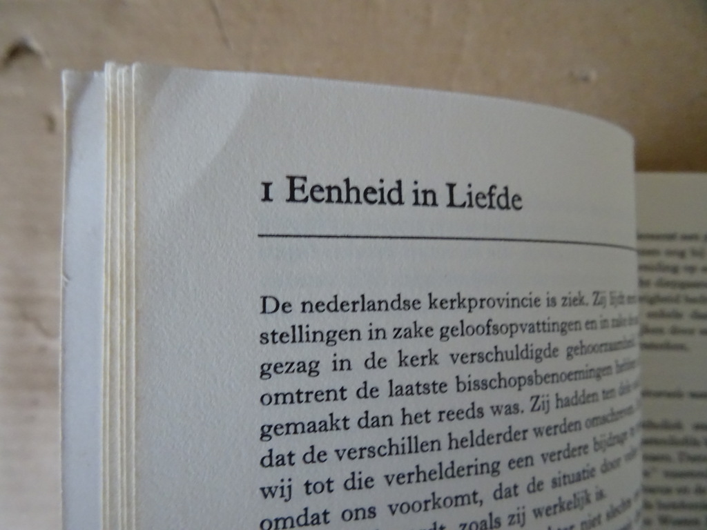Th. Steltenpool Orthodoxie verboden? - Afbeelding 7