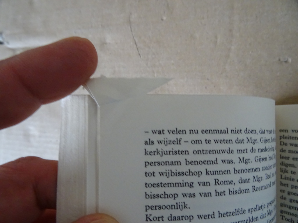 Th. Steltenpool Orthodoxie verboden? - Afbeelding 10