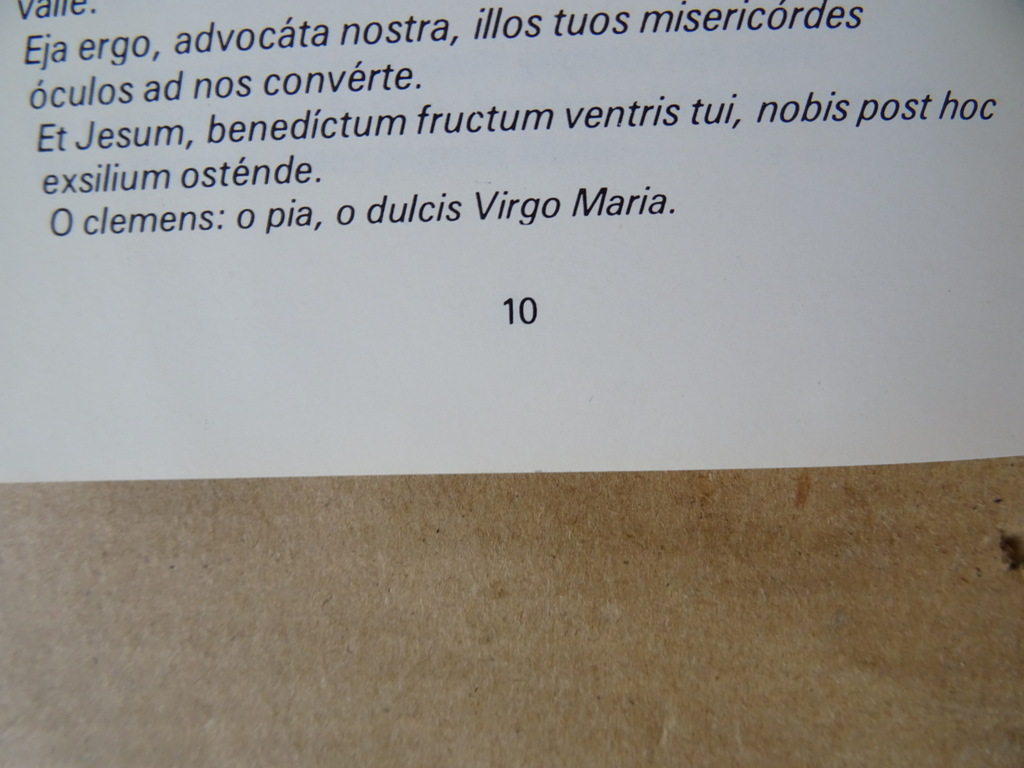 Tekst van de liederen bij de Maria-cassette - Afbeelding 9