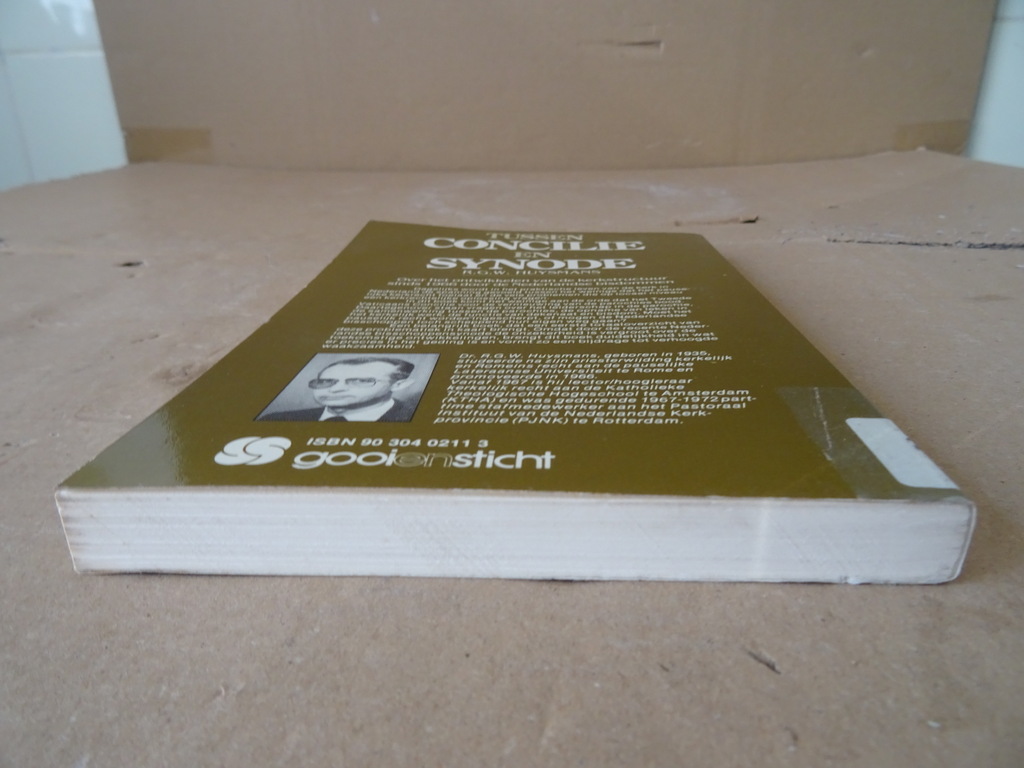 R. G. W. Huysmans Tussen concilie en synode - Afbeelding 14