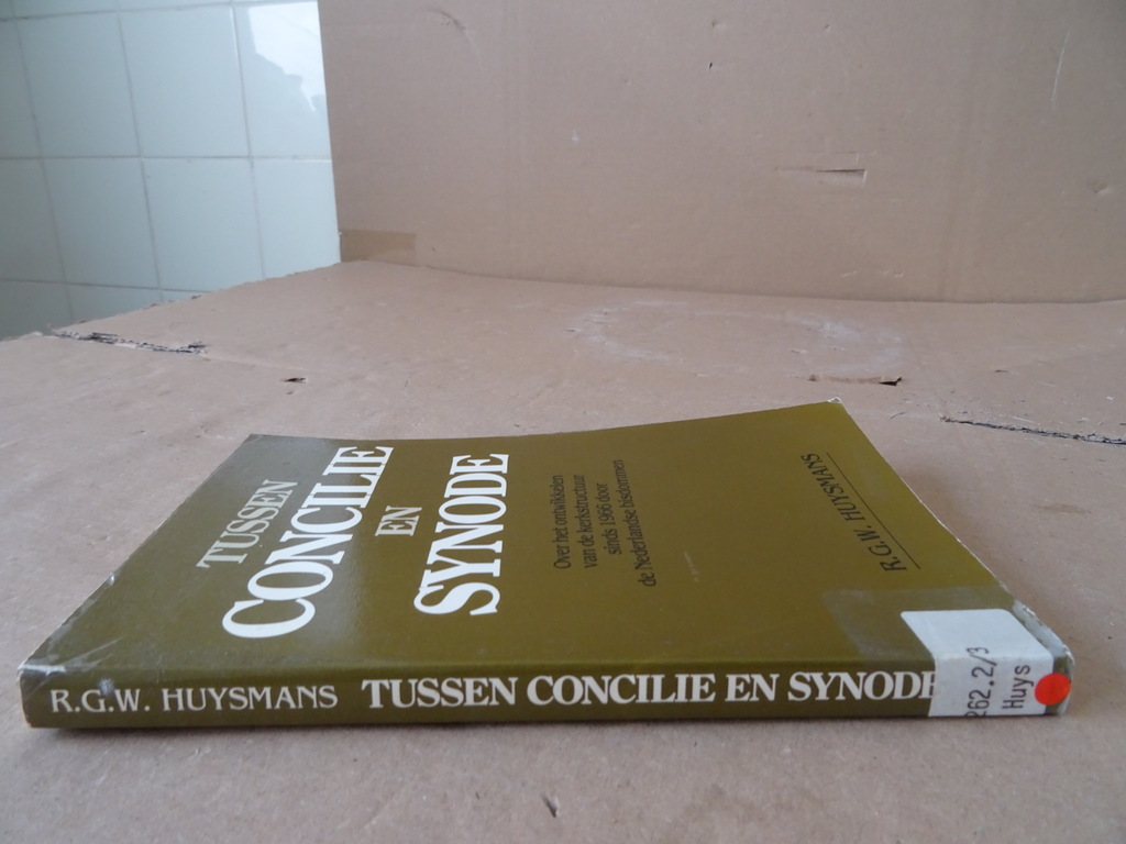 R. G. W. Huysmans Tussen concilie en synode - Afbeelding 17