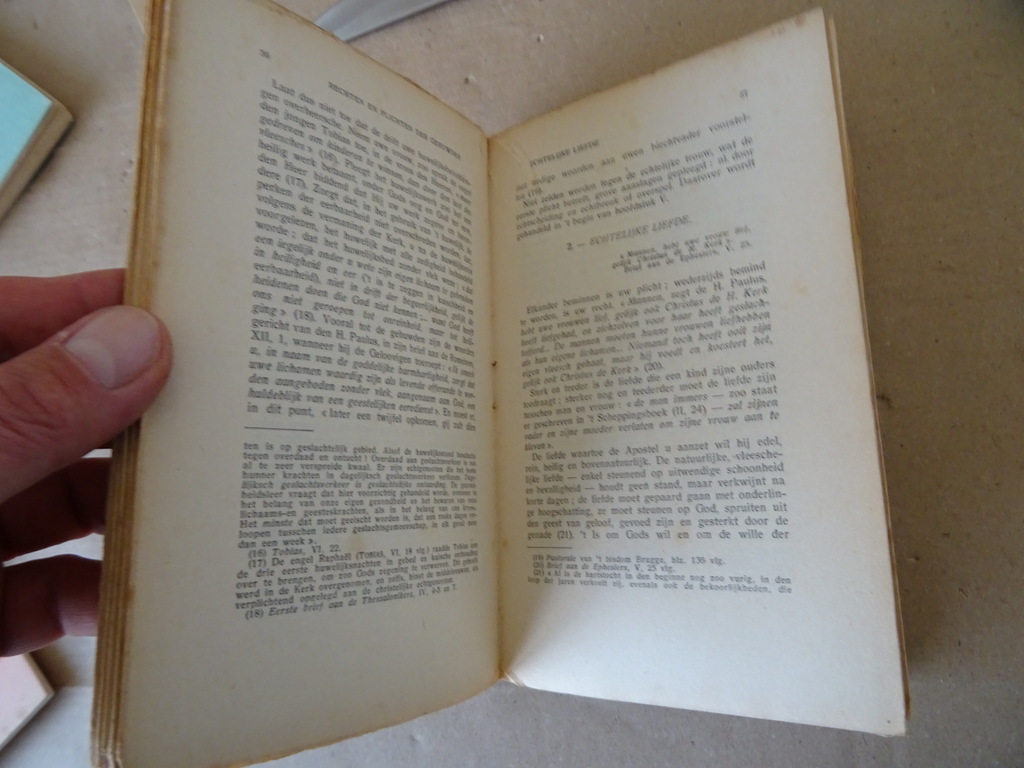 Kan. Al. De Smet s.t.d. Het christelyk huwelijk - Afbeelding 12