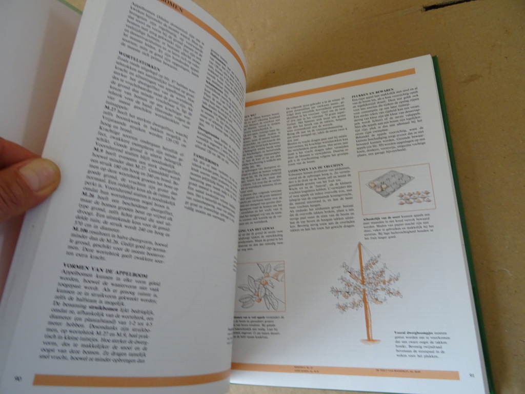 Denys de Saulles Het complete tuinboek - Afbeelding 6