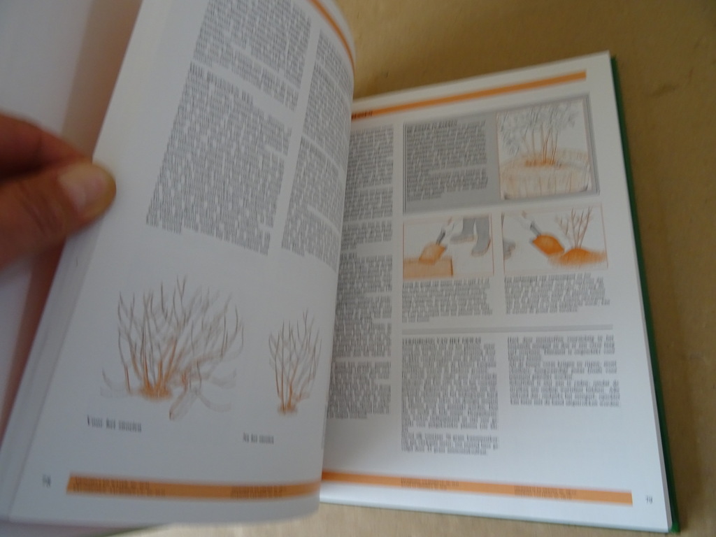 Denys de Saulles Het complete tuinboek - Afbeelding 7