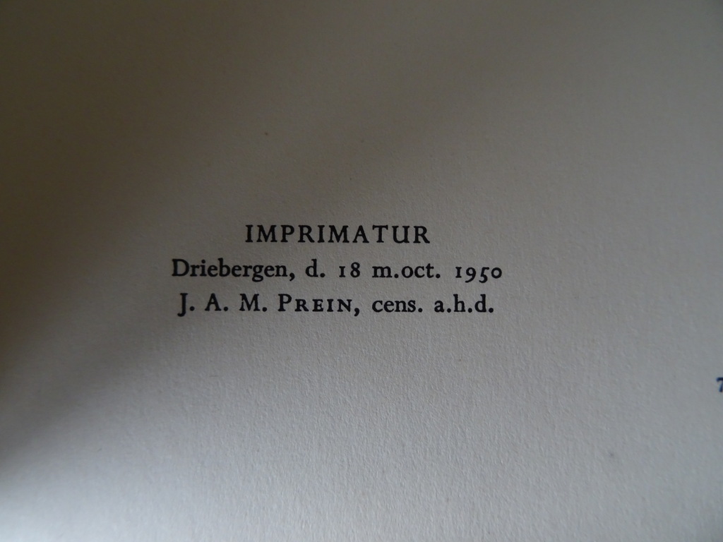 F. van der Meer Keerpunt der Middeleeuwen - Afbeelding 13
