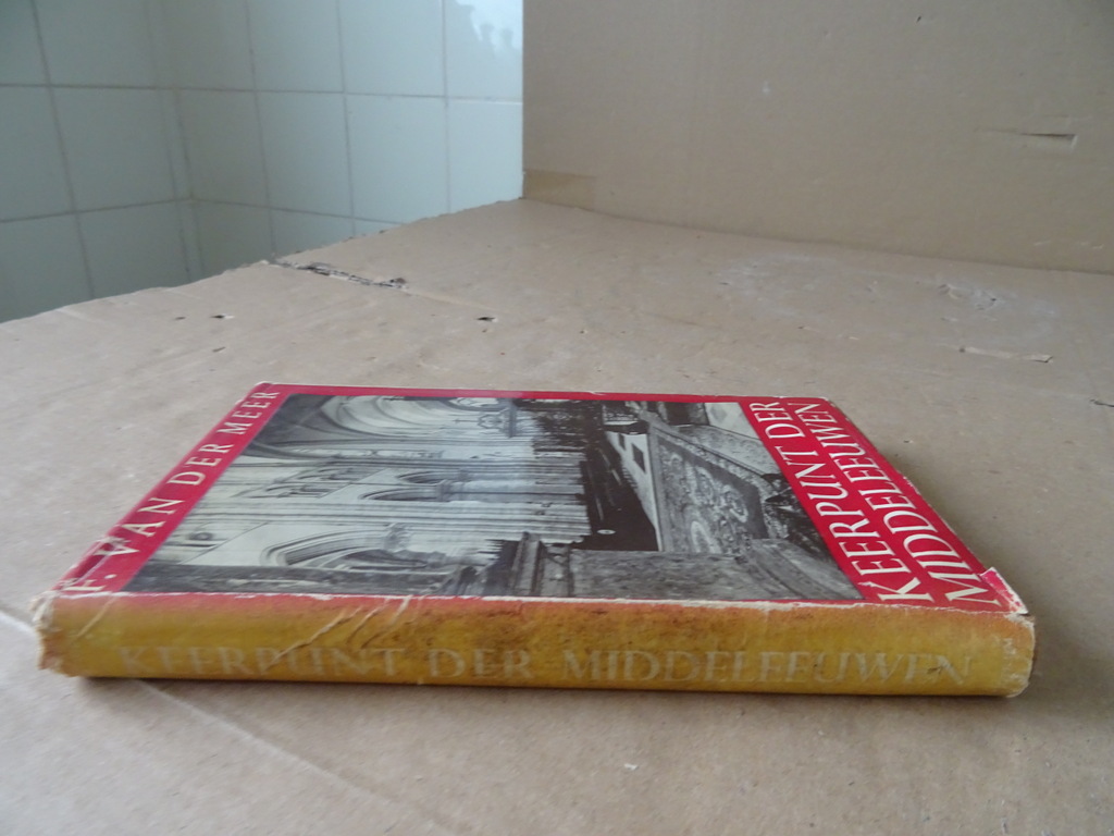 F. van der Meer Keerpunt der Middeleeuwen - Afbeelding 17
