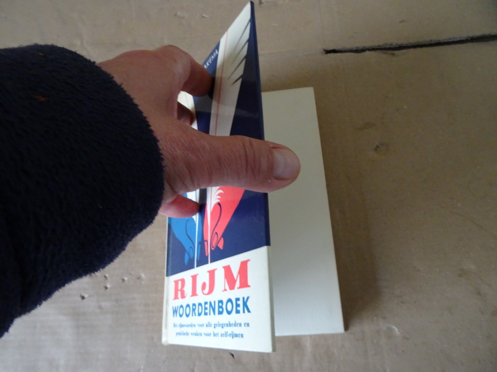 Ben Bakema Het Grote Rijmwoordenboek - Afbeelding 2