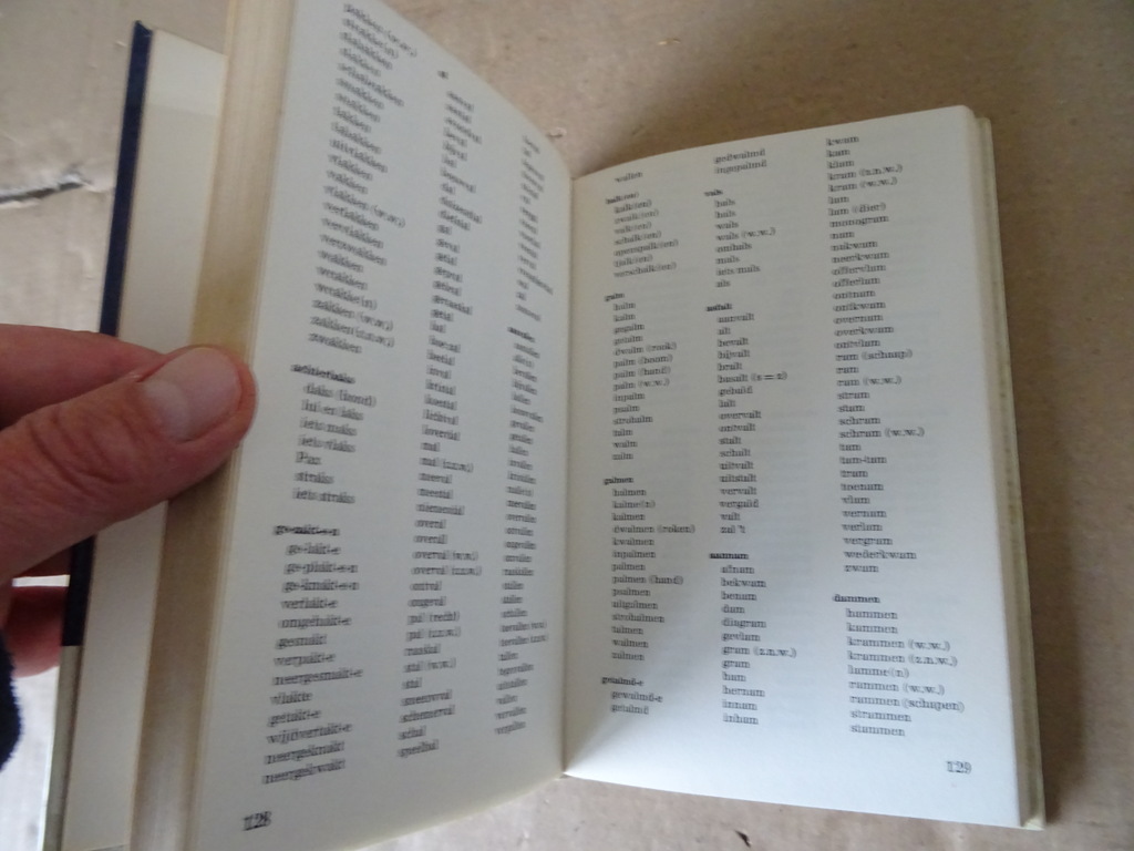 Ben Bakema Het Grote Rijmwoordenboek - Afbeelding 6