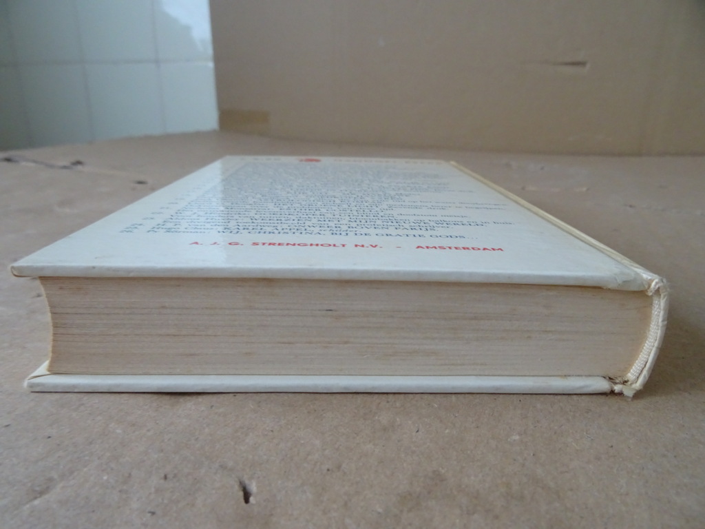 Ben Bakema Het Grote Rijmwoordenboek - Afbeelding 11
