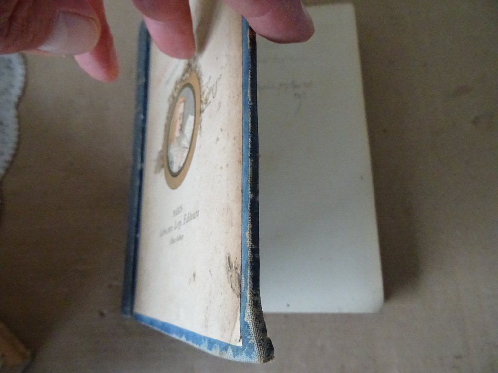 Anatole France Les Contes de Jacques Tournebroche - Afbeelding 2