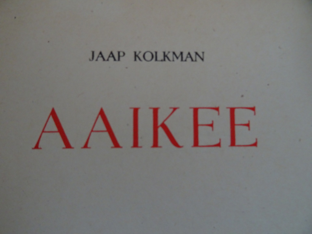 Jaap Kolkman Aaikee - Afbeelding 3