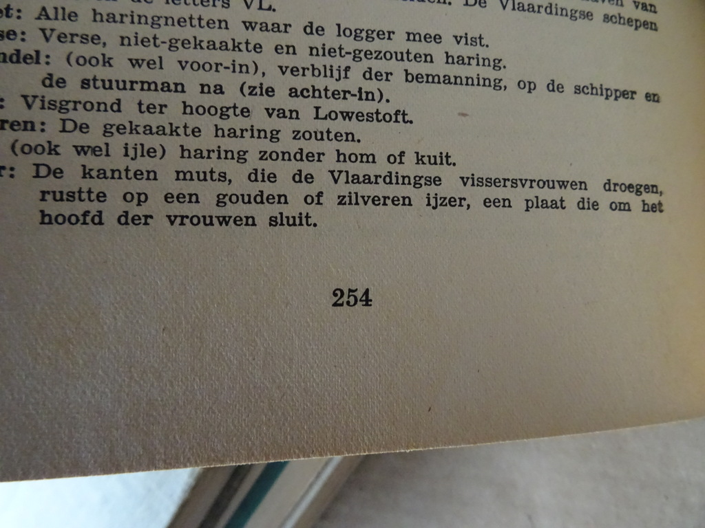 Jaap Kolkman Aaikee - Afbeelding 13