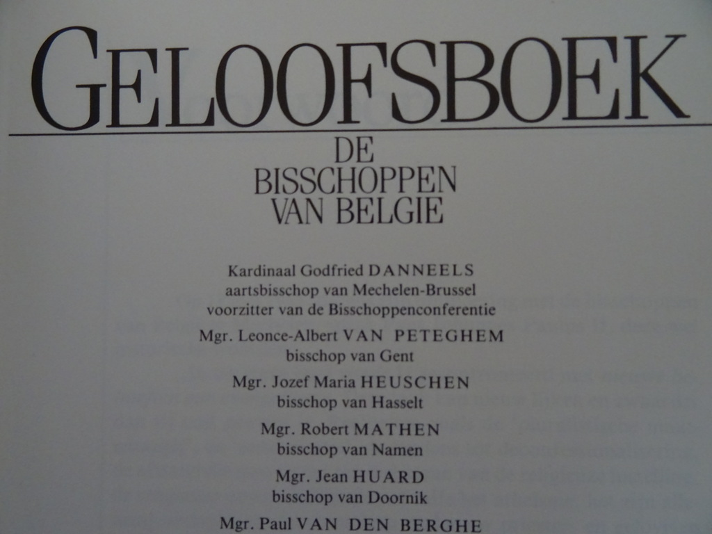 De bisschoppen van België Geloofsboek - Afbeelding 4