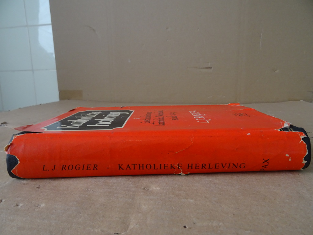 L. J. Rogier Katholieke herleving - Afbeelding 24