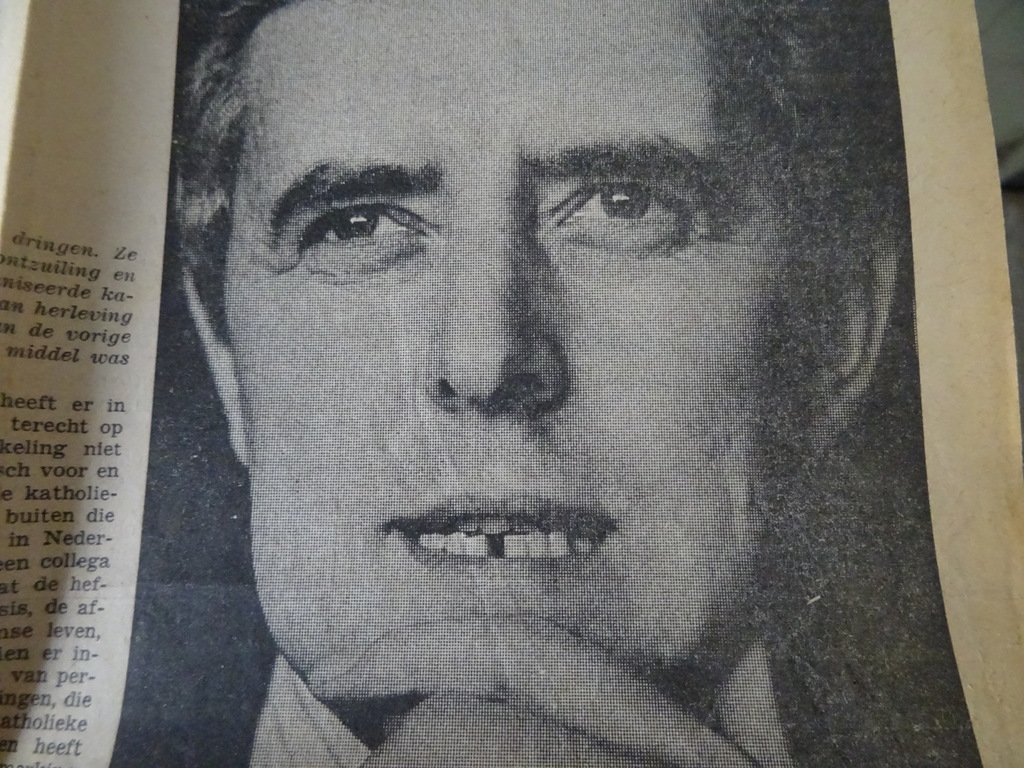L. J. Rogier Katholieke herleving - Afbeelding 29