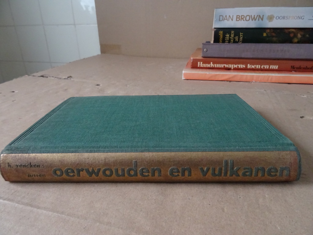 Harry Vencken Tussen oerwouden en vulkanen - Afbeelding 19