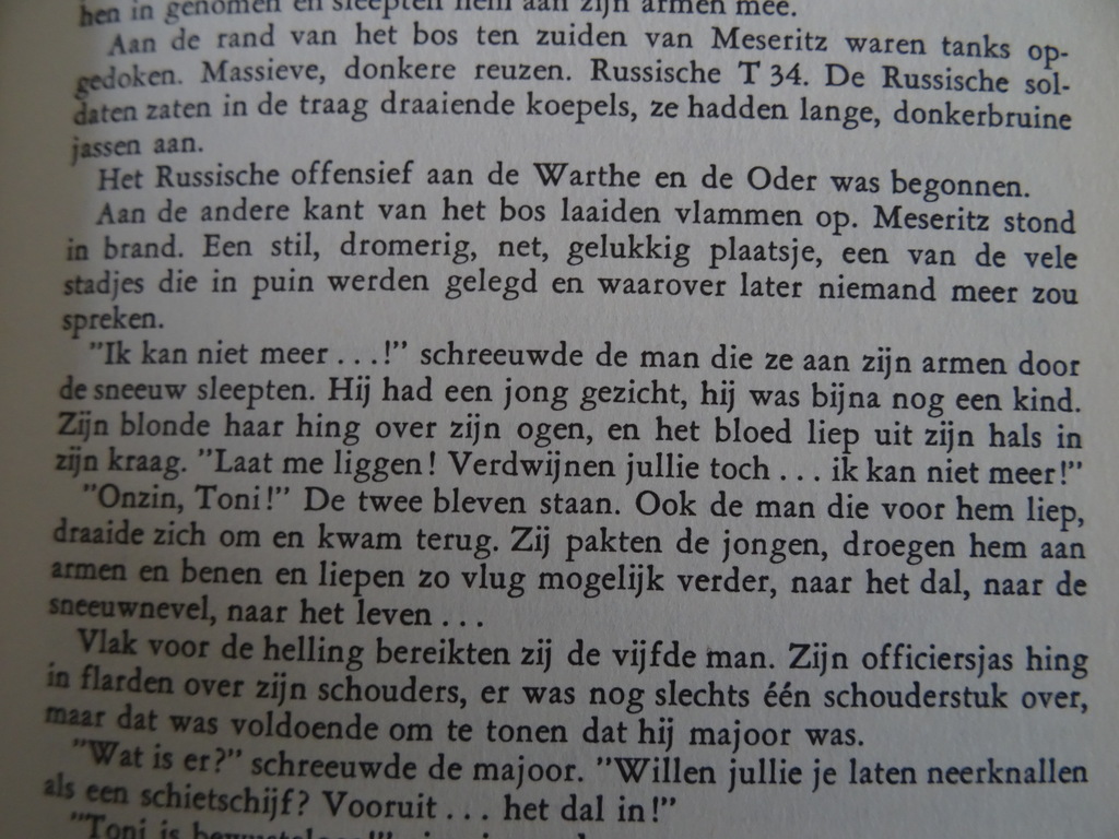 Heinz G. Konsalik Wilde vruchten als dessert - Afbeelding 12