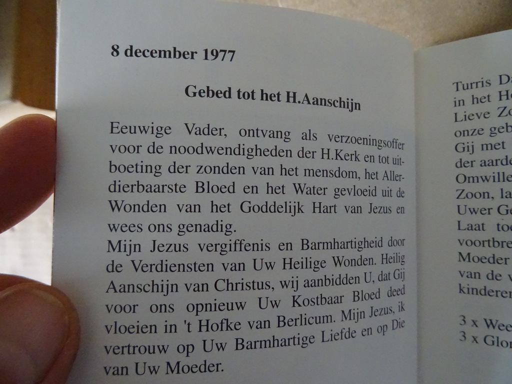 Gebeden gegeven door de H. Maagd Maria de Turris Davidica - Afbeelding 5