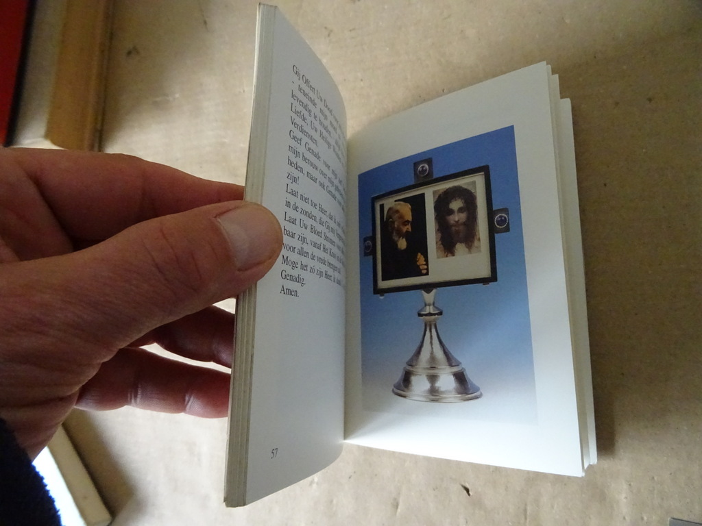 Gebeden gegeven door de H. Maagd Maria de Turris Davidica - Afbeelding 6