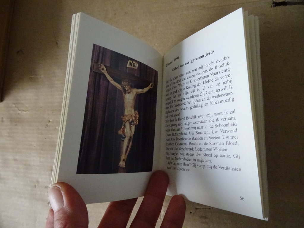 Gebeden gegeven door de H. Maagd Maria de Turris Davidica - Afbeelding 8