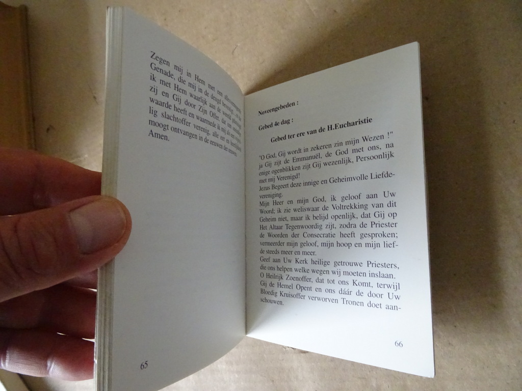 Gebeden gegeven door de H. Maagd Maria de Turris Davidica - Afbeelding 9
