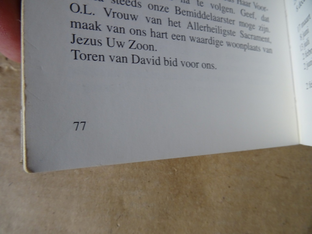 Gebeden gegeven door de H. Maagd Maria de Turris Davidica - Afbeelding 10