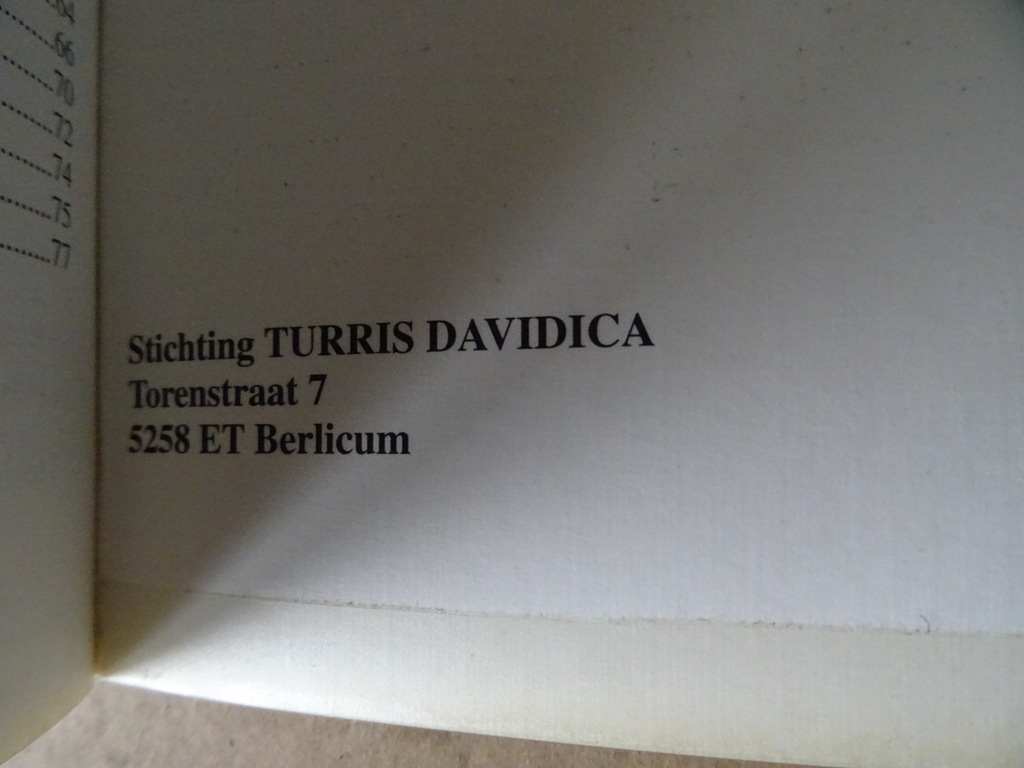Gebeden gegeven door de H. Maagd Maria de Turris Davidica - Afbeelding 11